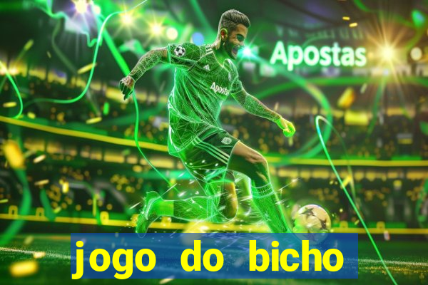 jogo do bicho crash bingo